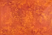 Bush Plum